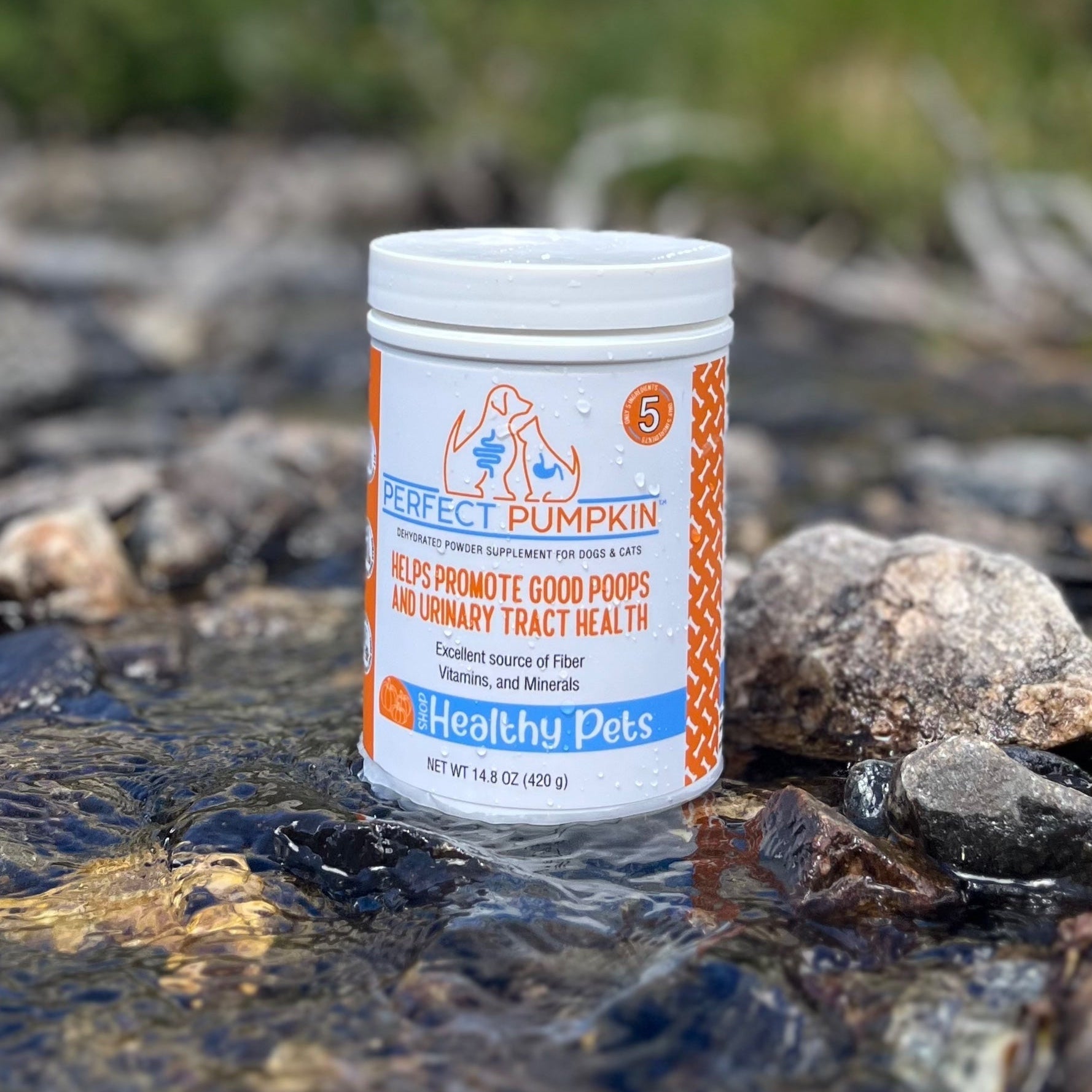 How Perfect Pumpkin's 4 Ingredients Support Stool and Urinary Tract Health
