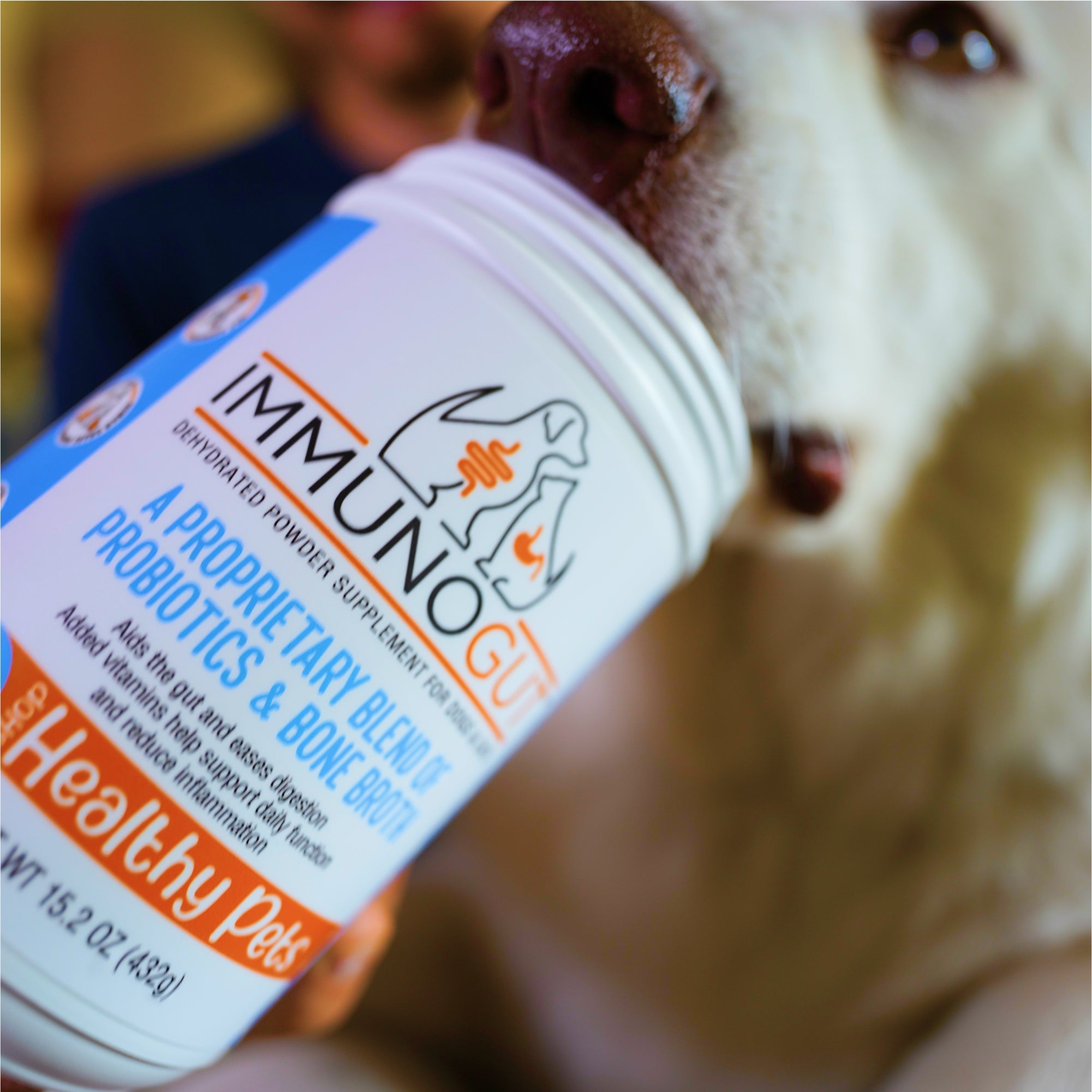 Why Immunogut’s Probiotics Are the Most Helpful for Dogs