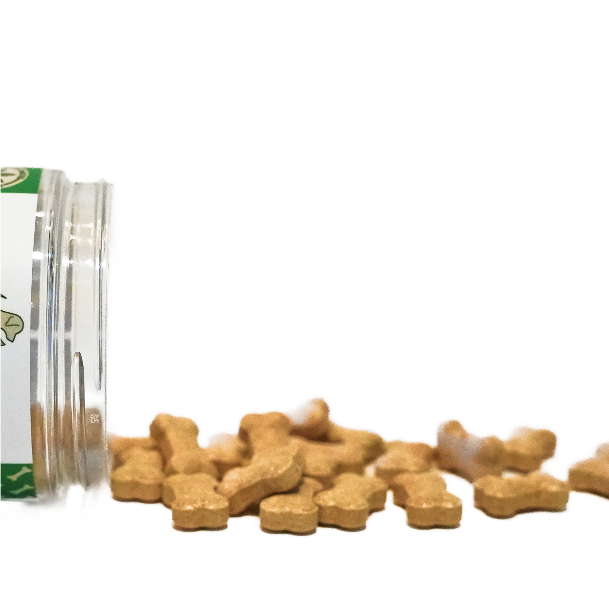 How Dogs Metabolize CBD Differently Than Humans (And What It Means for Dosing)