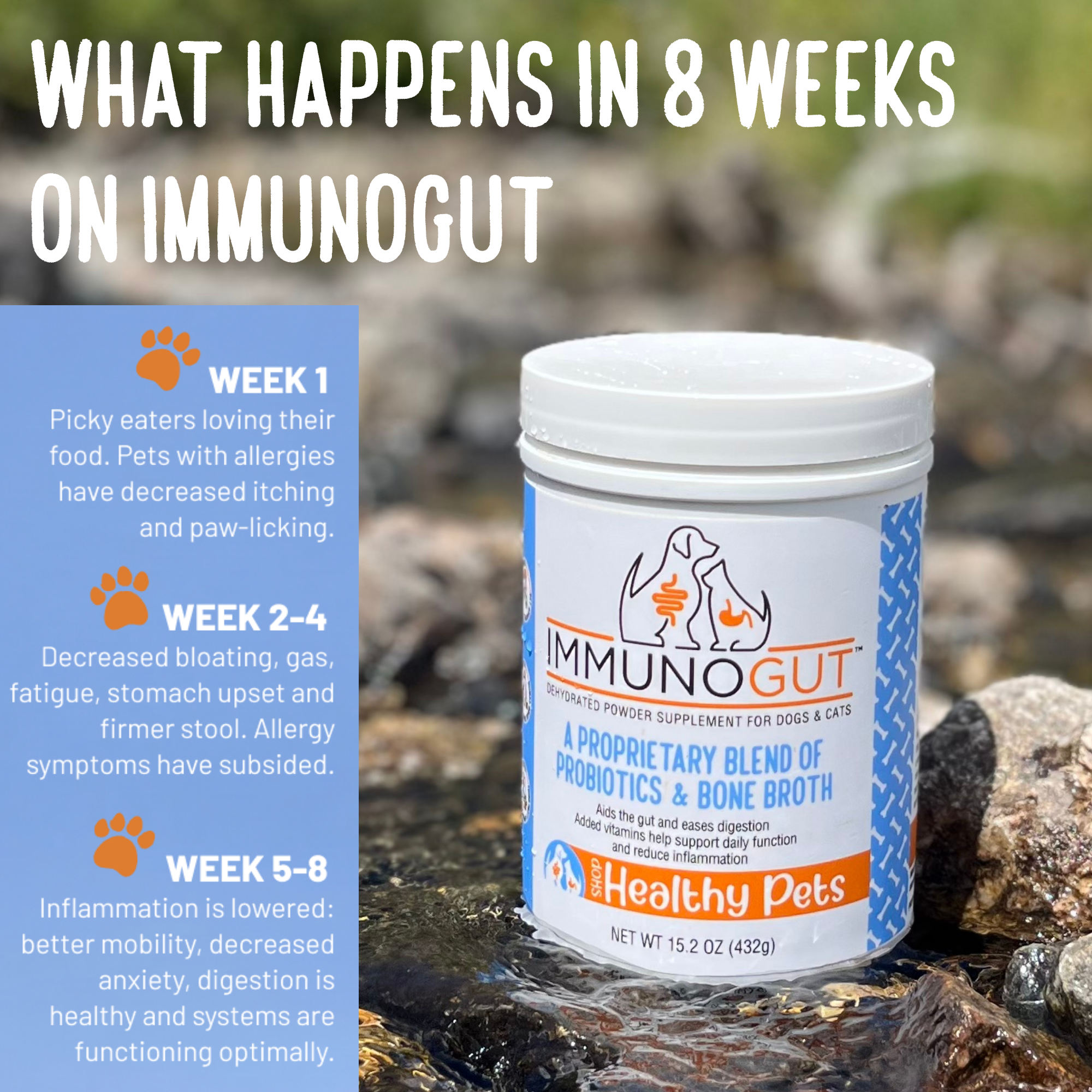 ImmunoGut