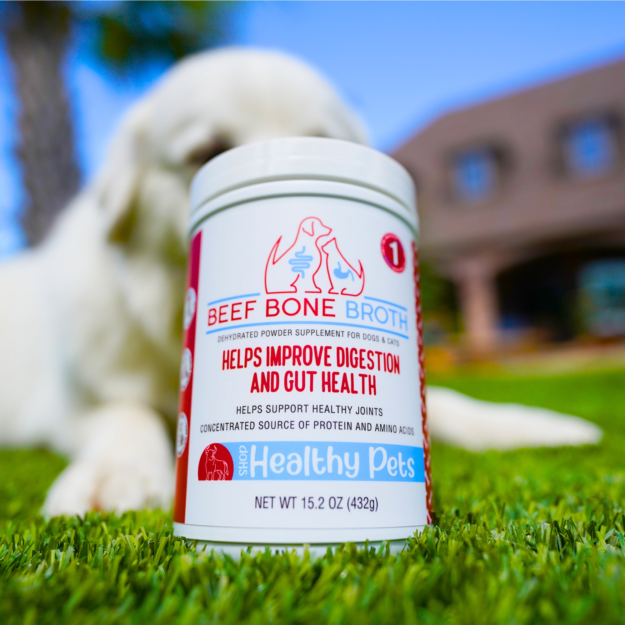 Container of Beef Bone Broth for pets. Improves guts health and aids digestion. healthy joints protein amino acids