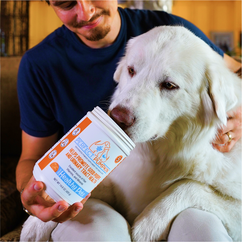 Person holding a container of pet food with a white dog sitting next to them