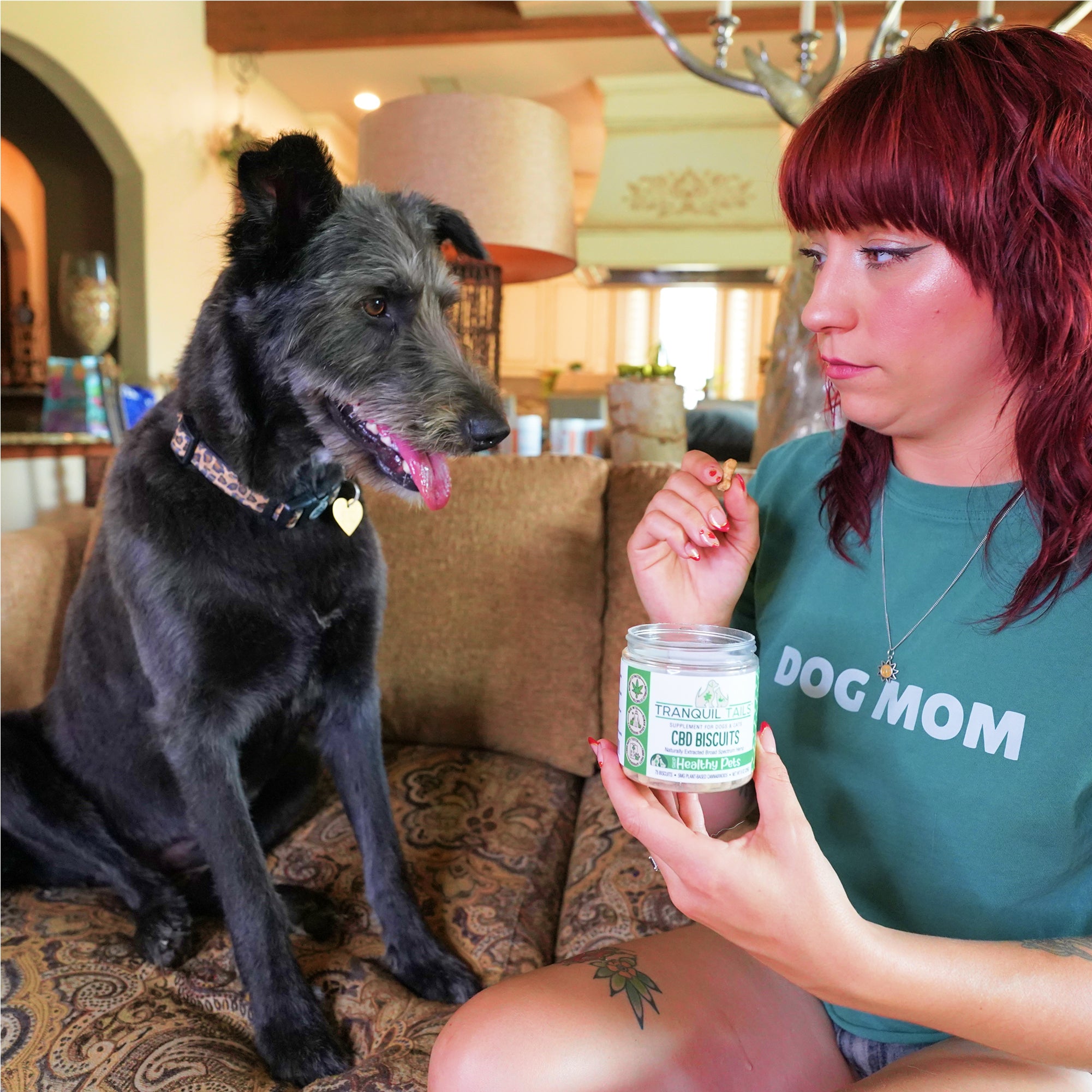 Woman in 'Dog Mom' shirt holding a jar of treats for a black dog in a home setting.